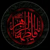 user28759500772405