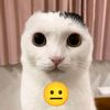 juanchopapi_0