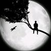 rodri_2328