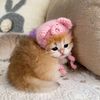 catylitlio