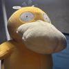 psyduckslife