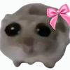 anali_1096