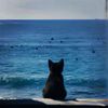 miao.y1
