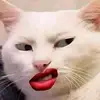 quynhanhmeomeo610