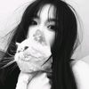 liss_chann