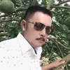 mai.qun15