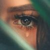 noor_alhassan88