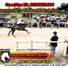 rodrigo.gonzalez8854