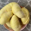khang.khang4996