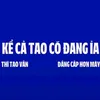 _usercunyeu_