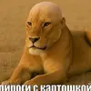 user93930210838