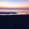 livia.kessler0