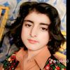 zameeralyee..88gm