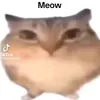 idkwhatmyname60