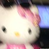 kittythesincereonesarehe