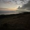 eddiebarber13