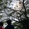 raizantoosigma