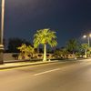 as_l311