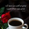 mahmoud.elfar56