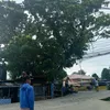 peter.silva543
