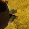 adlyz.z