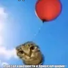 пердежь Миланы
