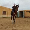 bachiri.............2006