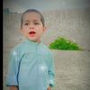 fazal.shah105
