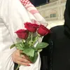 mo__zr8