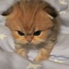 itmwintr_
