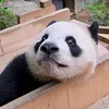 ltuan47961