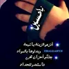 user85597814199036