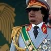 sadam.altalib