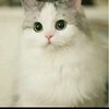 cutemano.927