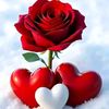 user9619400565531