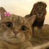 nour.saied16