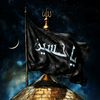 asad.naqvi28
