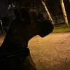lilotaa7