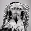 .alzhrani73