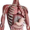 Health Info