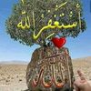 user4459014409627