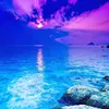 user85757013955112