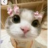 good_girl6803