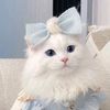 user4518707005014