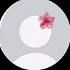 hakim.hakim6654