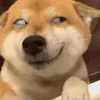 gabyalm96