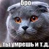 user72908118072367