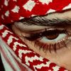 sheikhaali619