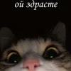 user10860960011038