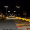 albadr_445